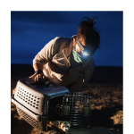 Gallery 3 - Sarah Mosquera